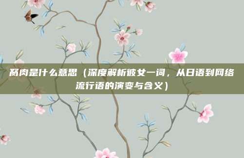 胬肉是什么意思(深度解析彼女一词,从日语到网络流行语的演变与含义)
