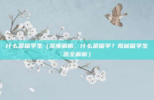 什么是留学生(深度解析,什么是留学?揭秘留学生活全解析)