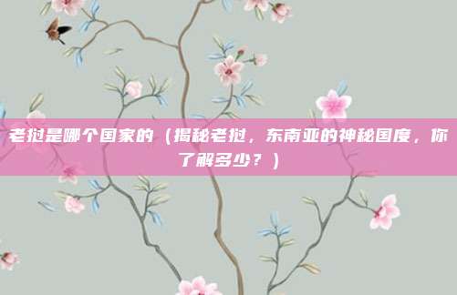 老挝是哪个国家的(揭秘老挝,东南亚的神秘国度,你了解多少?)