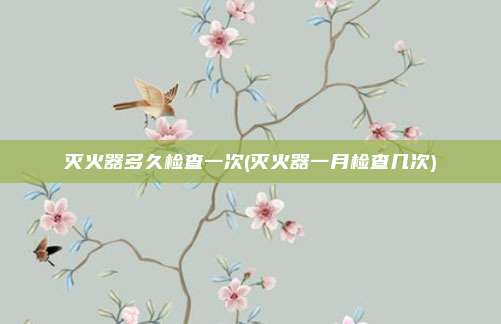 灭火器多久检查一次(灭火器一月检查几次)