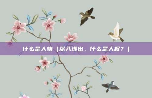 什么是人格(深入浅出,什么是人权?)