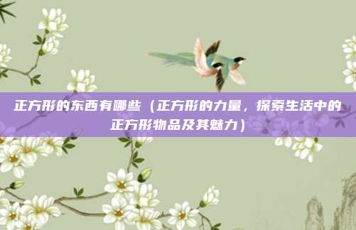 正方形的东西有哪些(正方形的力量,探索生活中的正方形物品及其魅力)