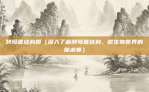 酵母菌结构图(深入了解酵母菌结构,微生物世界的魔术师)