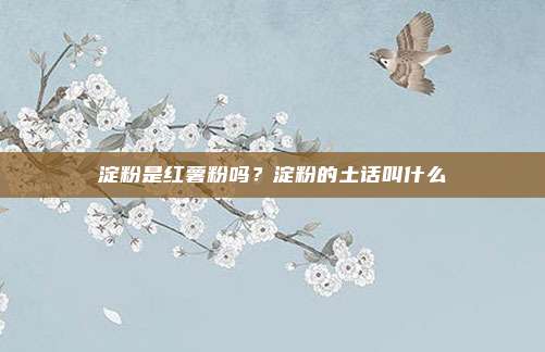 淀粉是红薯粉吗?淀粉的土话叫什么