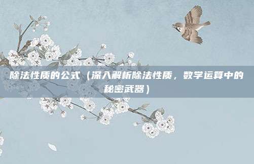 除法性质的公式(深入解析除法性质,数学运算中的秘密武器)