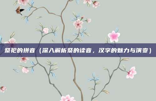 祭祀的拼音(深入解析祭的读音,汉字的魅力与演变)