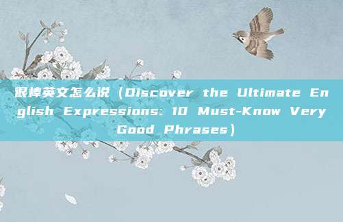 很棒英文怎么说(Discover the Ultimate English Expressions: 10 Must-Know Very Good Phrases)