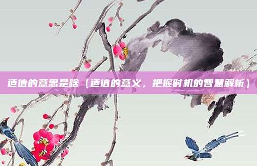 适值的意思是啥(适值的意义,把握时机的智慧解析)