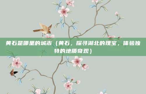 黄石是哪里的城市(黄石,探寻湖北的瑰宝,体验独特的地质奇观)
