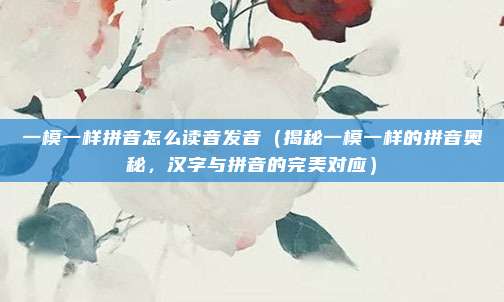 一模一样拼音怎么读音发音(揭秘一模一样的拼音奥秘,汉字与拼音的完美对应)