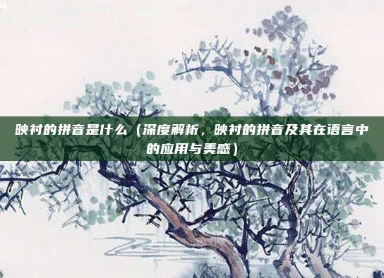 映衬的拼音是什么(深度解析,映衬的拼音及其在语言中的应用与美感)