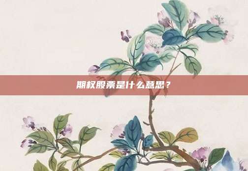 期权股票是什么意思？