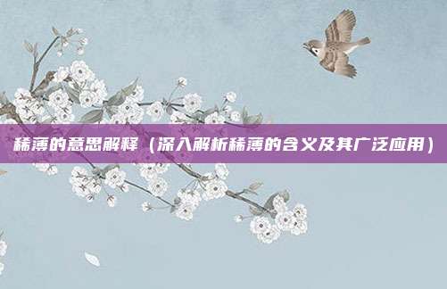 稀薄的意思解释(深入解析稀薄的含义及其广泛应用)