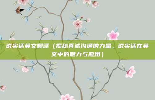 说实话英文翻译(揭秘真诚沟通的力量,说实话在英文中的魅力与应用)