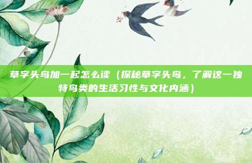 草字头鸟加一起怎么读(探秘草字头鸟,了解这一独特鸟类的生活习性与文化内涵)