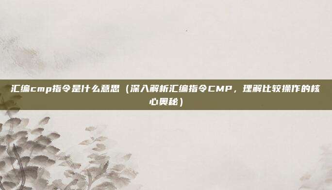 汇编cmp指令是什么意思(深入解析汇编指令CMP,理解比较操作的核心奥秘)