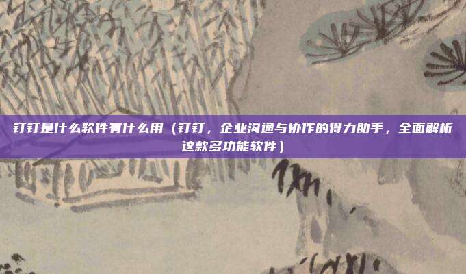 钉钉是什么软件有什么用(钉钉,企业沟通与协作的得力助手,全面解析这款多功能软件)
