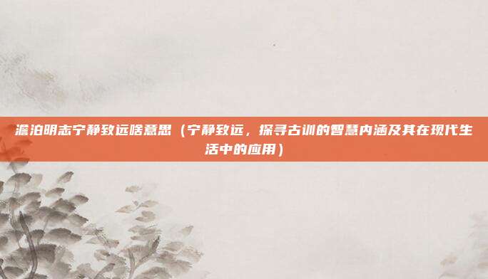 澹泊明志宁静致远啥意思(宁静致远,探寻古训的智慧内涵及其在现代生活中的应用)