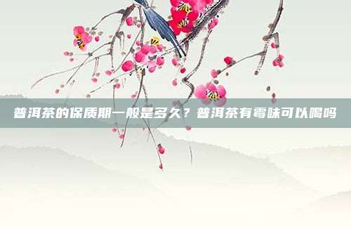 普洱茶的保质期一般是多久?普洱茶有霉味可以喝吗
