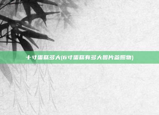十寸蛋糕多大(6寸蛋糕有多大图片参照物)