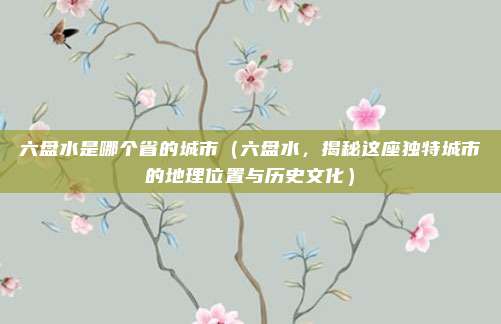 六盘水是哪个省的城市(六盘水,揭秘这座独特城市的地理位置与历史文化)