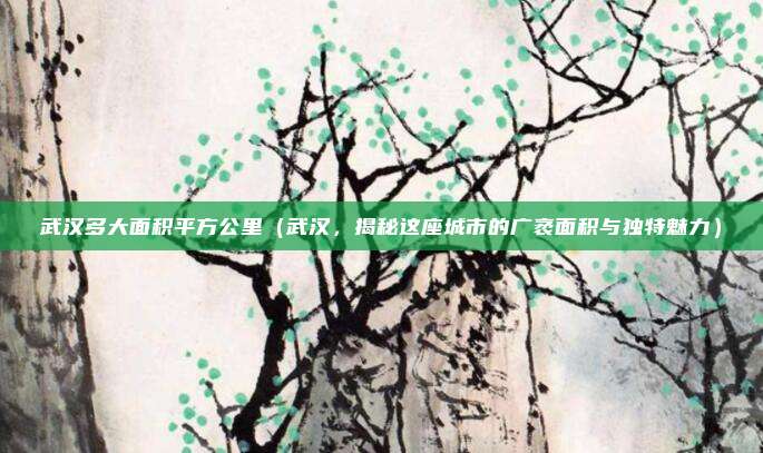 武汉多大面积平方公里(武汉,揭秘这座城市的广袤面积与独特魅力)
