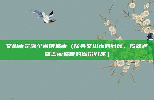 文山市是哪个省的城市(探寻文山市的归属,揭秘这座美丽城市的省份归属)