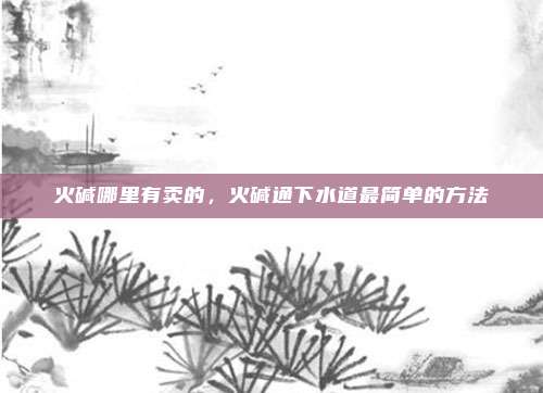 火碱哪里有卖的，火碱通下水道最简单的方法