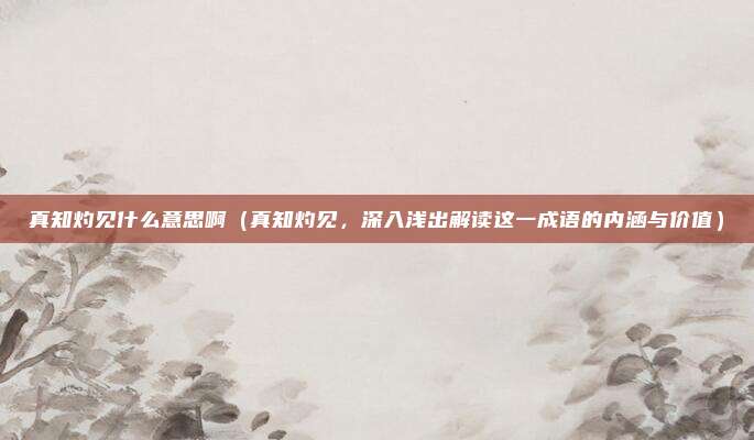 真知灼见什么意思啊(真知灼见,深入浅出解读这一成语的内涵与价值)