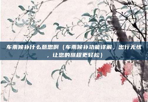 车票候补什么意思啊(车票候补功能详解,出行无忧,让您的旅程更轻松)