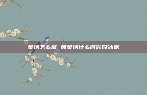 梨汤怎么熬 熬梨汤什么时候放冰糖