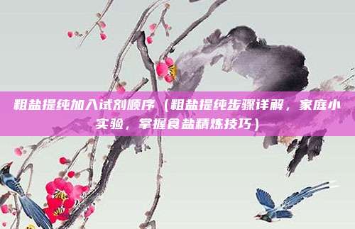 粗盐提纯加入试剂顺序(粗盐提纯步骤详解,家庭小实验,掌握食盐精炼技巧)