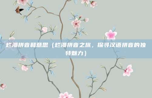 烂漫拼音和意思(烂漫拼音之旅,探寻汉语拼音的独特魅力)
