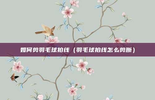 如何剪羽毛球拍线（羽毛球拍线怎么剪断）