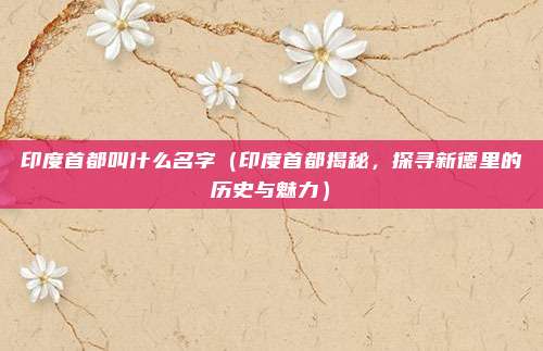 印度首都叫什么名字(印度首都揭秘,探寻新德里的历史与魅力)