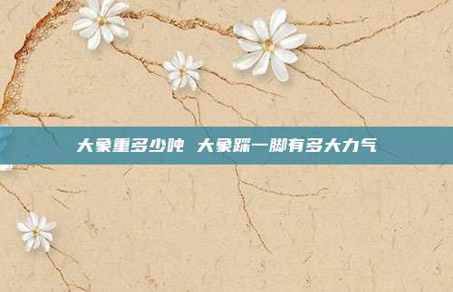 大象重多少吨 大象踩一脚有多大力气