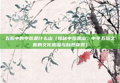 五岳中的中岳是什么山(探秘中岳嵩山,中华五岳之首的文化底蕴与自然奇观)