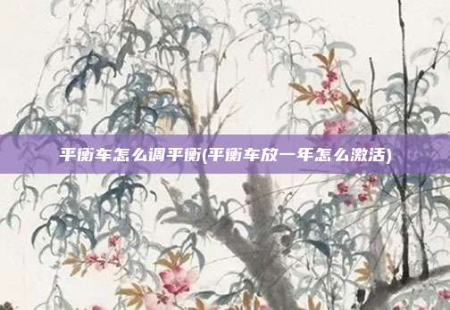 平衡车怎么调平衡(平衡车放一年怎么激活)