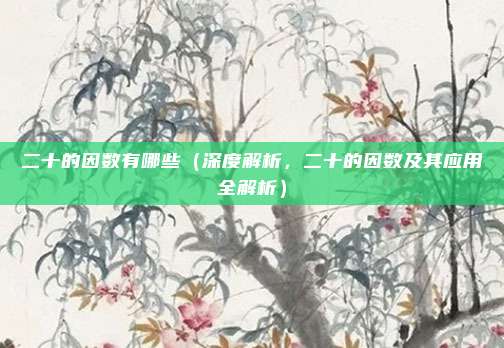 二十的因数有哪些(深度解析,二十的因数及其应用全解析)