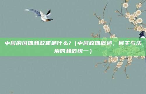 中国的国体和政体是什么?(中国政体概述,民主与法治的和谐统一)