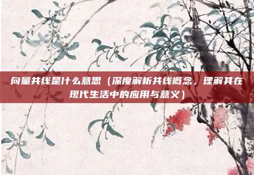 向量共线是什么意思(深度解析共线概念,理解其在现代生活中的应用与意义)