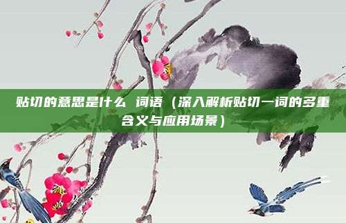 贴切的意思是什么 词语(深入解析贴切一词的多重含义与应用场景)