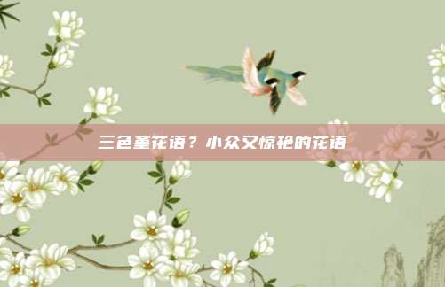 三色堇花语？小众又惊艳的花语