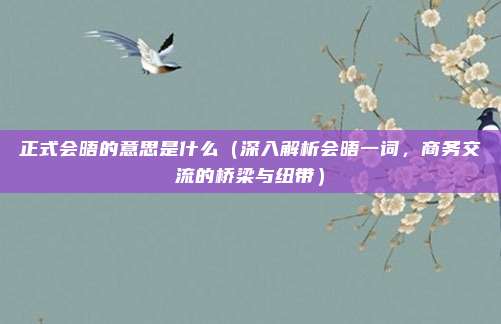 正式会晤的意思是什么(深入解析会晤一词,商务交流的桥梁与纽带)
