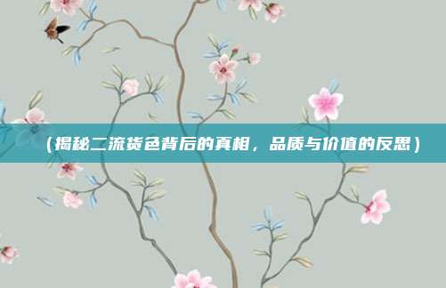 (揭秘二流货色背后的真相,品质与价值的反思)