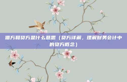 借方和贷方是什么意思(贷方详解,理解财务会计中的贷方概念)