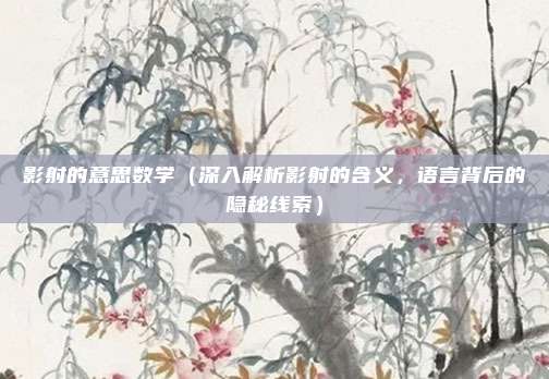 影射的意思数学(深入解析影射的含义,语言背后的隐秘线索)