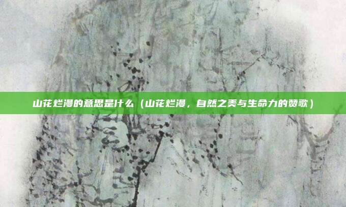 山花烂漫的意思是什么(山花烂漫,自然之美与生命力的赞歌)