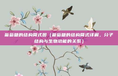 葡萄糖的结构简式图(葡萄糖的结构简式详解,分子结构与生物功能的关系)
