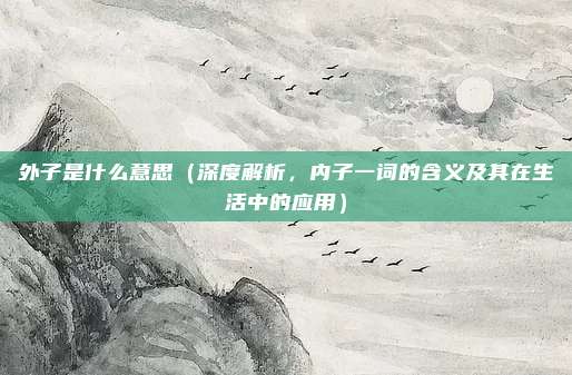 外子是什么意思(深度解析,内子一词的含义及其在生活中的应用)
